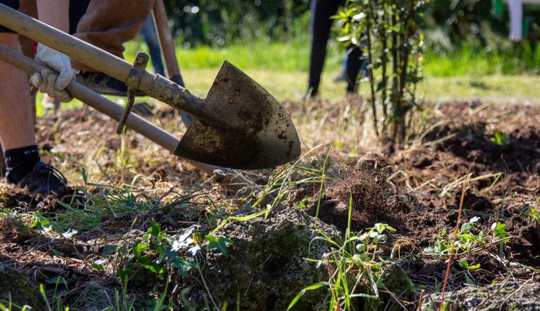 gardening services melbourne